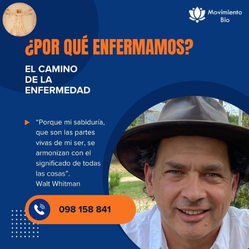 Nueva invitación a recorrer el camino hacia la salud, bienestar y plenitud.
