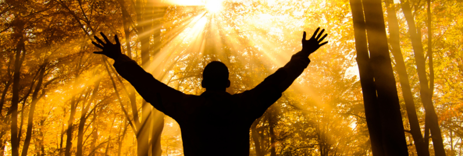 Todo cambio profundo comienza en el alma